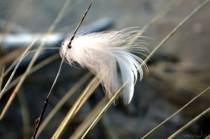 IMGP2430_1_20140510220655088