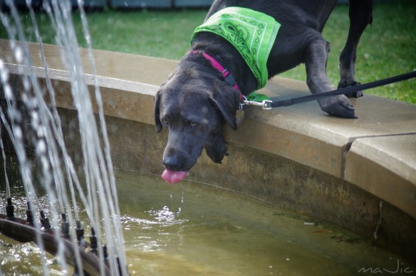 IMGP2590-01_20150726180840908